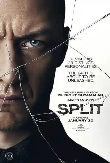 Poster of Split (2017) Hindi Dual Audio Movie BluRay